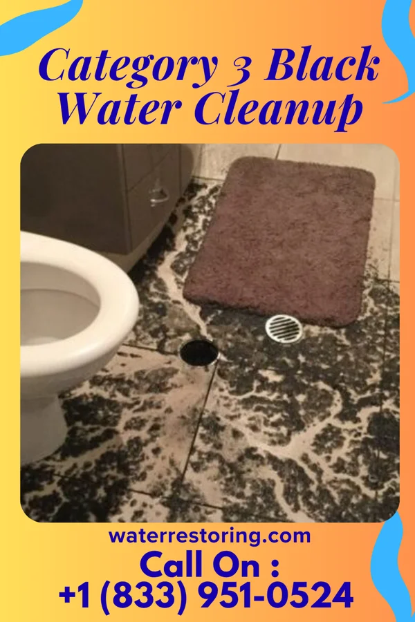 Category 3 Black Water Cleanup in Yankee Hill, CA